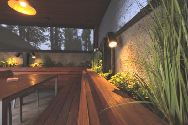 Brunarica stern (13)(1) P25