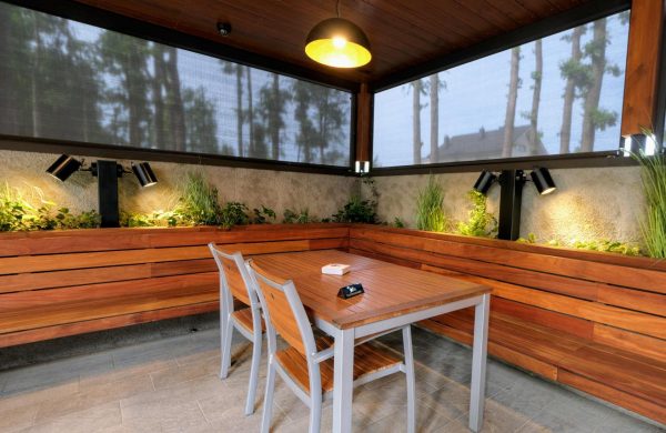 Brunarica stern (16) P25