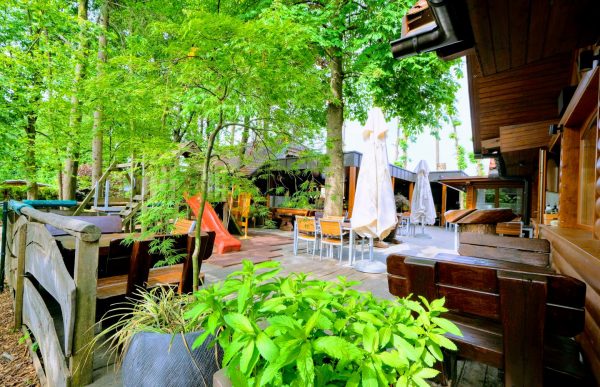 Brunarica stern (21) P25