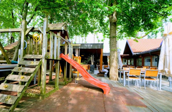 Brunarica stern (22) P25