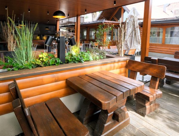 Brunarica stern (23) P40