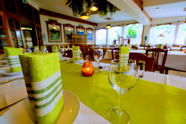 Brunarica stern (28) P25