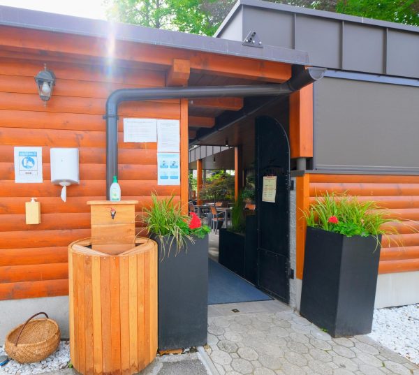 Brunarica stern (32) P40