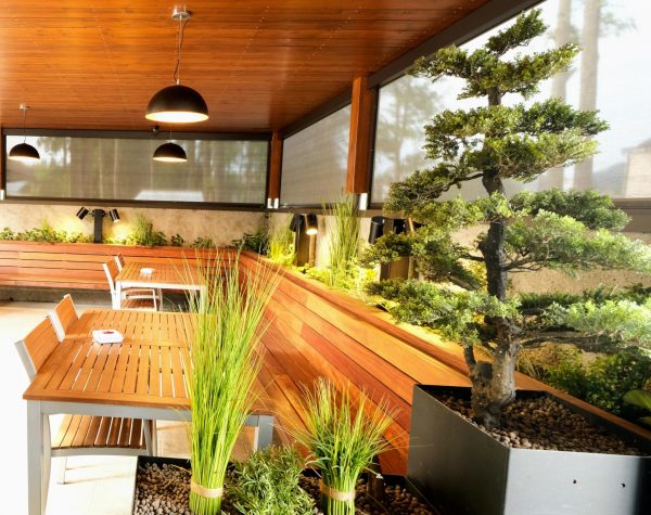 Brunarica stern (6)(1) P40