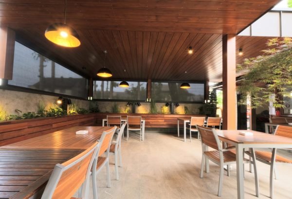 Brunarica stern (8) P25