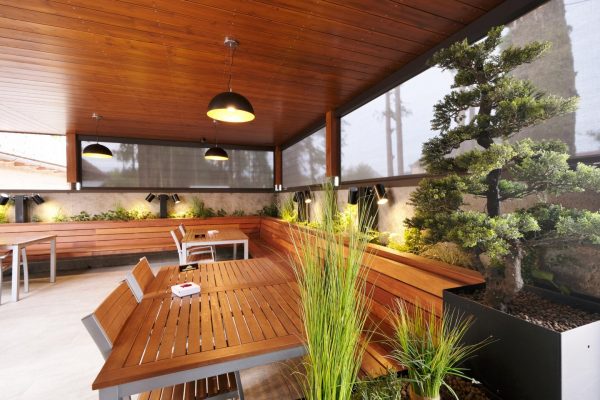 Brunarica stern org(60) P25